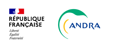 website logo